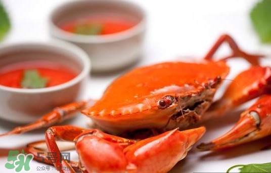 黃油蟹是海蟹嗎？黃油蟹是如何進化的