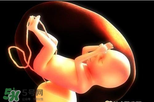 臍帶血有必要保存嗎？臍帶血有什么用？