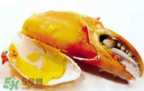 黃油蟹怎么處理？青蟹與黃油蟹有什么區(qū)別