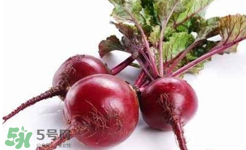 甜菜根是蘿卜嗎？甜菜根是什么菜