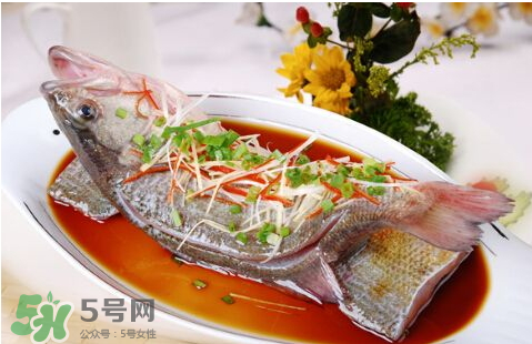 鱸魚為什么沒有刺？鱸魚為什么刺少？