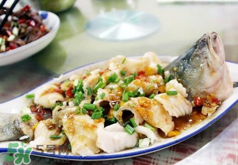 鱸魚為什么沒有刺？鱸魚為什么刺少？
