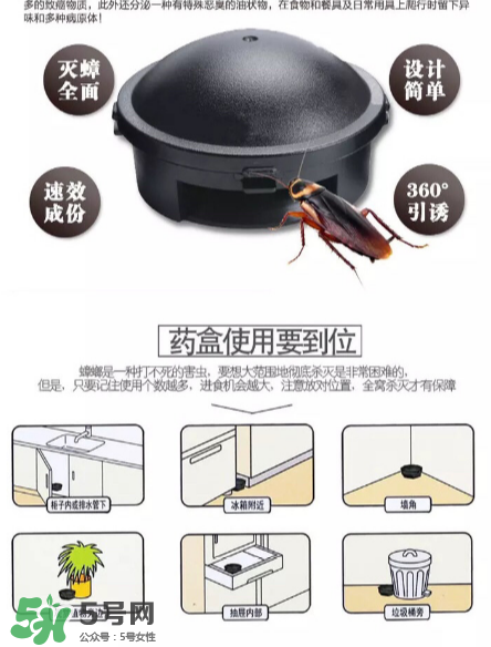 日本蟑螂藥好用嗎？日本蟑螂藥效果評測