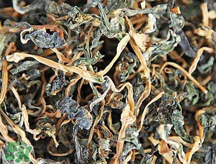 梅干菜有醬油嗎？梅干菜有營養(yǎng)嗎