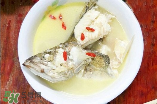 鯉魚湯怎么做好吃？鯉魚湯里面可以放什么？
