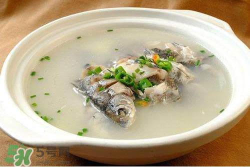鯽魚湯下奶嗎？鯽魚湯的功效與作用