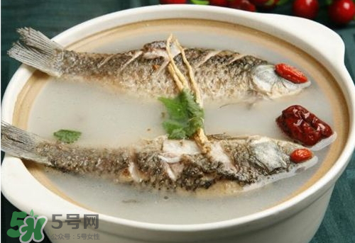 鯽魚湯下奶嗎？鯽魚湯的功效與作用