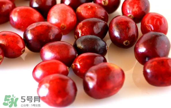 蔓越莓是藍(lán)莓嗎？蔓越莓是哪里產(chǎn)的