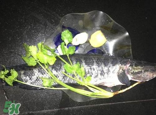 黑魚湯對傷口有好處嗎？黑魚湯的做法術(shù)后恢復(fù)