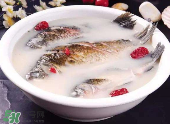 鯽魚湯里可以放什么菜最好？鯽魚燉湯放什么菜？