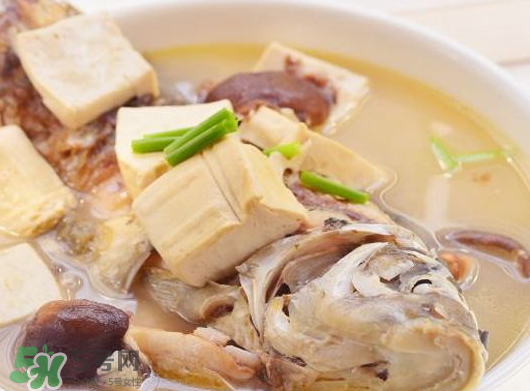 鯽魚(yú)湯可以放香菇嗎？香菇鯽魚(yú)湯的做法