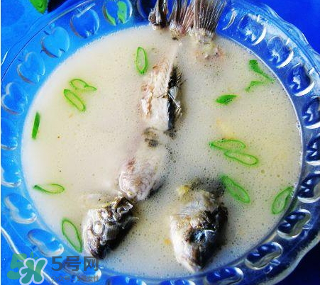 鯽魚湯可以放牛奶嗎？牛奶鯽魚湯的做法