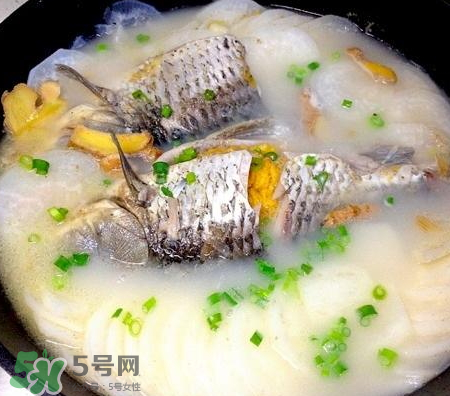 鯽魚湯可以放牛奶嗎？牛奶鯽魚湯的做法