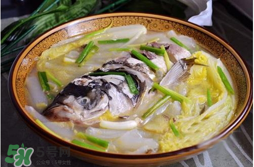 鰱魚湯怎么熬湯？鰱魚湯的功效與作用