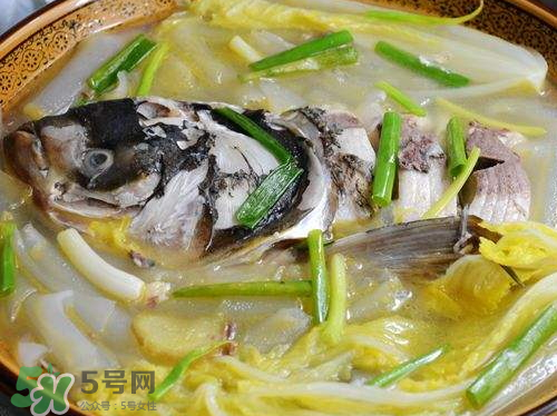 鰱魚湯怎么熬湯？鰱魚湯的功效與作用