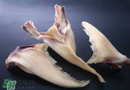 干魚翅怎么保存？魚翅可以放多久？