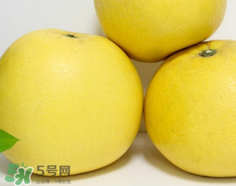 蜜柚是哪個(gè)季節(jié)的水果？蜜柚和沙田柚的區(qū)別是什么？
