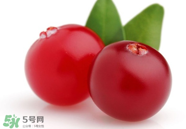 蔓越莓是藍(lán)莓嗎？蔓越莓是哪里產(chǎn)的