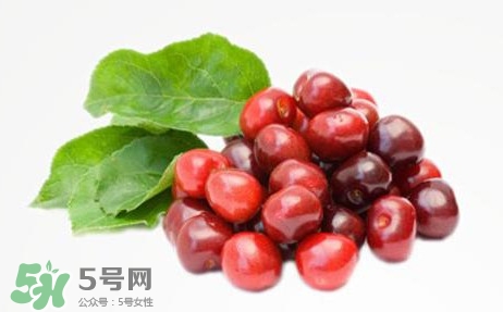 蔓越莓有什么作用？蔓越莓的功效與作用