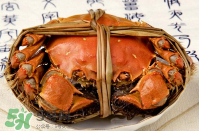 香辣蟹怎么做最好吃？香辣蟹怎么處理螃蟹？