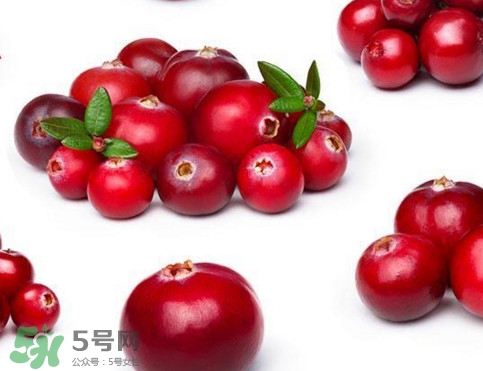 蔓越莓是藍(lán)莓嗎？蔓越莓是哪里產(chǎn)的