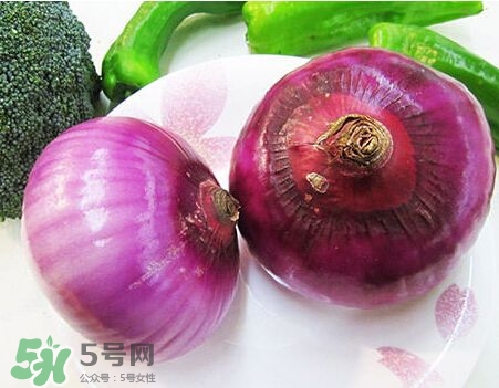 洋蔥狗狗能吃嗎？狗狗吃了洋蔥怎么辦？