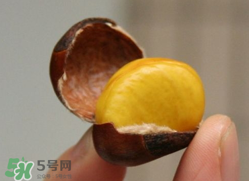板栗用冷水還是熱水煮？煮板栗用冷水還是熱水？