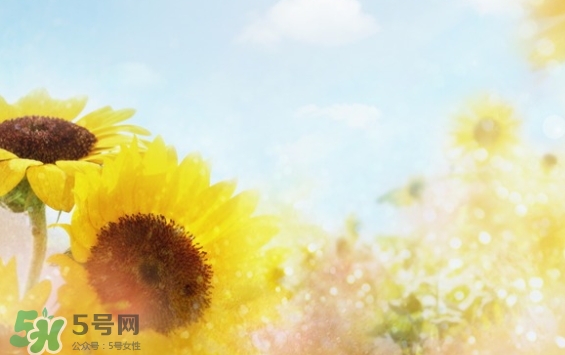 見封滾是什么意思？