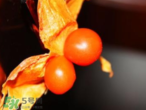 紅姑娘皮泡水治咽炎嗎？紅姑娘皮泡水的副作用