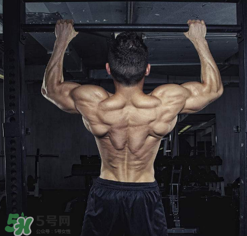 引體向上背部怎么發(fā)力？引體向上發(fā)力技巧