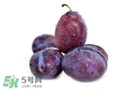 西梅可以放冰箱嗎？西梅放冰箱冷藏還是冷凍？