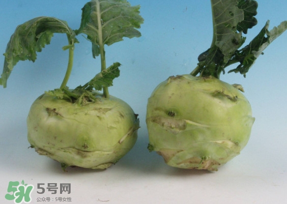 苤藍怎么讀？苤藍孕婦可以吃嗎