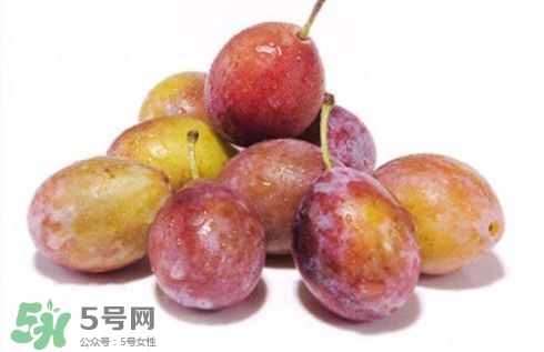 西梅可以放冰箱嗎？西梅放冰箱冷藏還是冷凍？