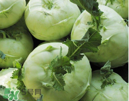 四川大頭菜學(xué)名叫什么？大頭菜又叫什么菜
