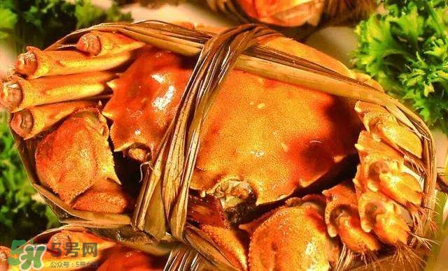 螃蟹吃什么食物長(zhǎng)得大？十月份吃什么螃蟹？