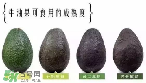 牛油果是什么味道？牛油果是甜的嗎？
