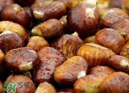 板栗泡酒真的能壯陽(yáng)嗎？板栗泡酒有什么功效？