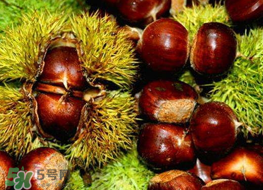 板栗泡酒要去皮嗎？板栗泡酒不去皮可以嗎？