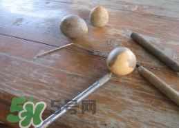 牛油果核能吃嗎？牛油果核怎么種盆栽？