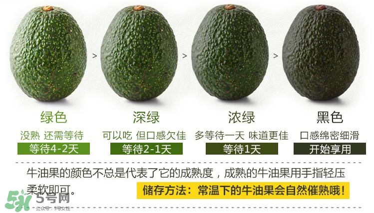 牛油果生的能吃嗎？牛油果怎么催熟快？