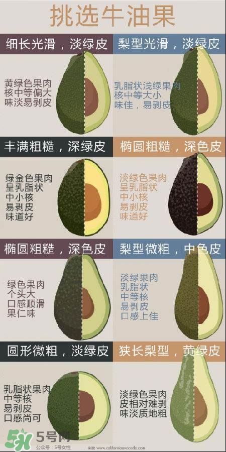 牛油果怎么挑選？牛油果多少錢一斤？