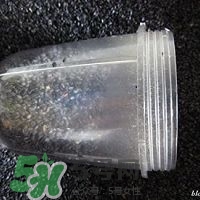 核桃粉怎么做？核桃粉的功效與作用