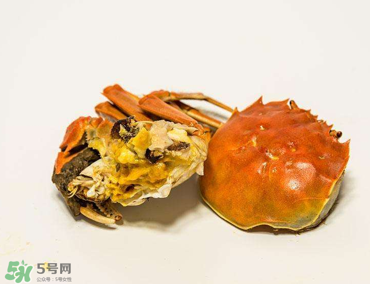 哪種螃蟹有蟹黃？哪種螃蟹蟹黃最多？