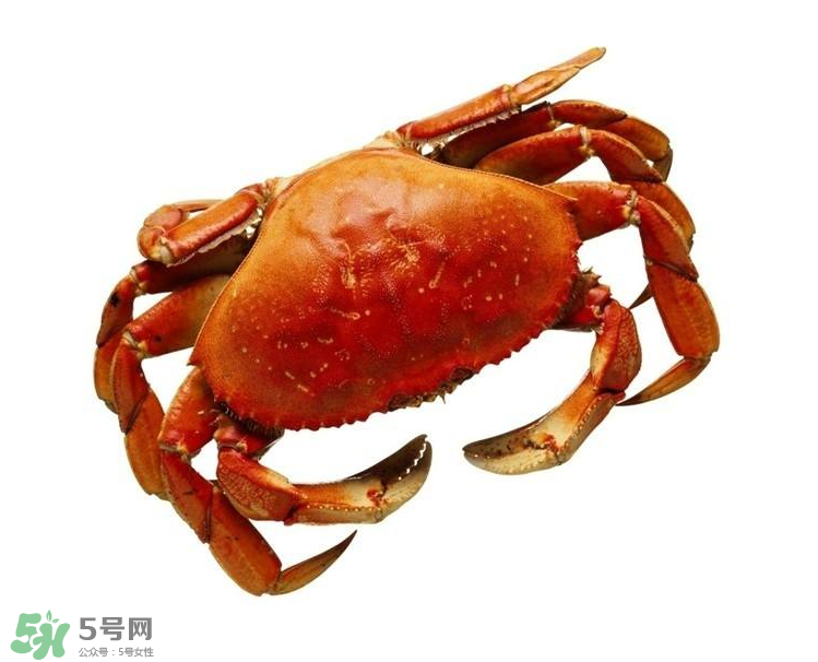哪種螃蟹不能吃？什么樣的螃蟹不能吃？