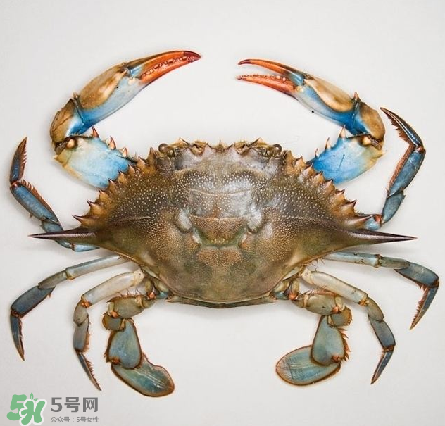 蟹膏是綠色的嗎？蟹膏是黑色的能吃嗎？