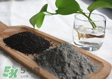核桃粉寶寶可以吃嗎？寶寶幾個月可以吃？