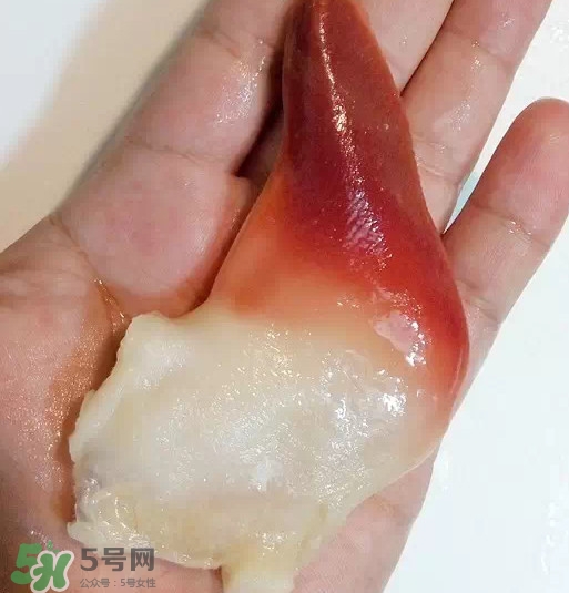 北極貝多少錢一斤？北極貝長什么樣子