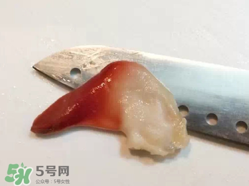 北極貝多少錢一斤？北極貝長什么樣子