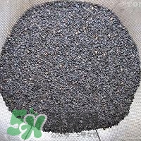 核桃粉怎么做？核桃粉的功效與作用