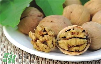 核桃分心木可以煲湯嗎？核桃分心木可以和枸杞泡水嗎？